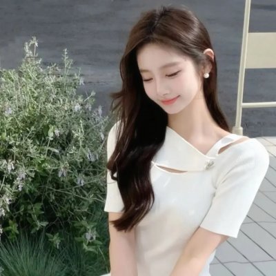 燕子盗