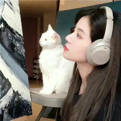 金海情